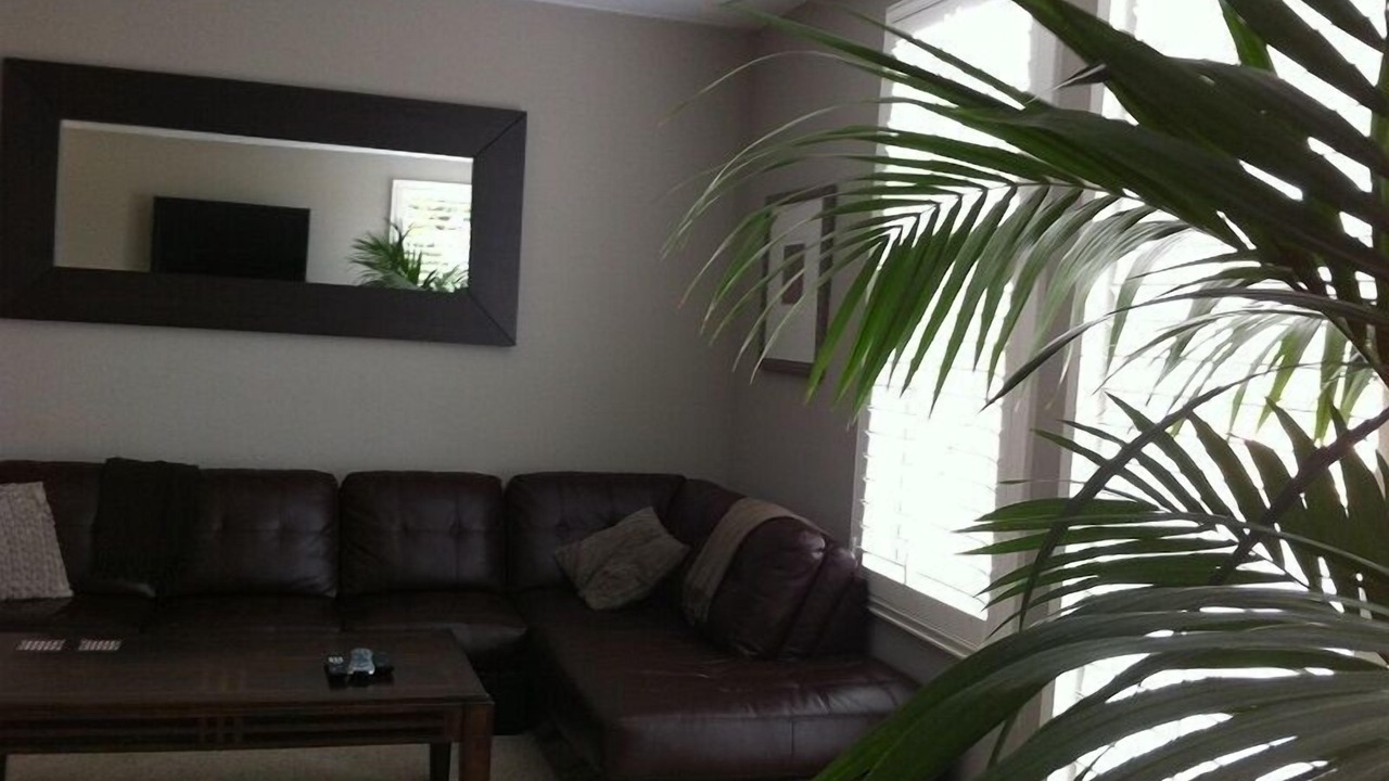 Photo of Livingroom in Laguna Niguel