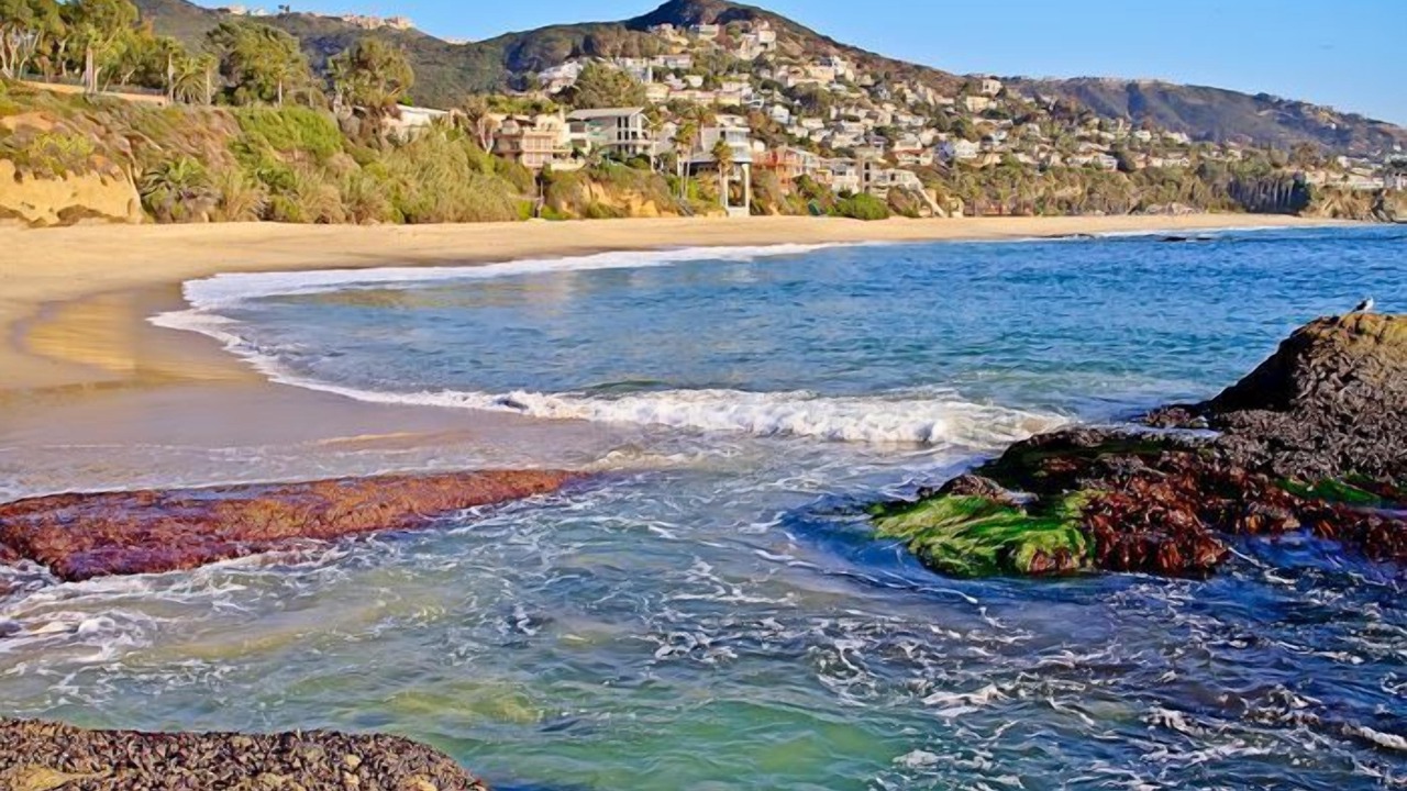 Photo of Others in Laguna Niguel