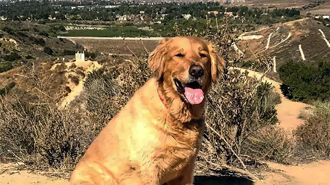 Photo of Outdoor in Lower Peters Canyon