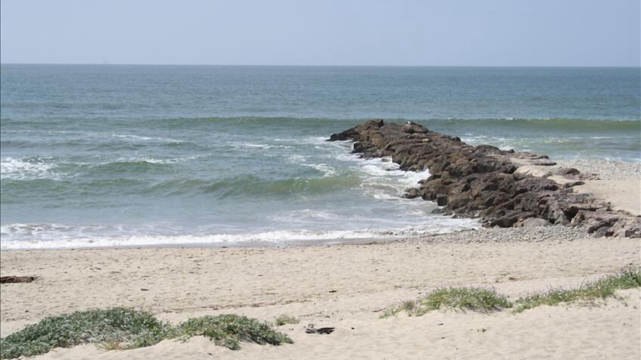 Photo of Others in Pierpont Bay