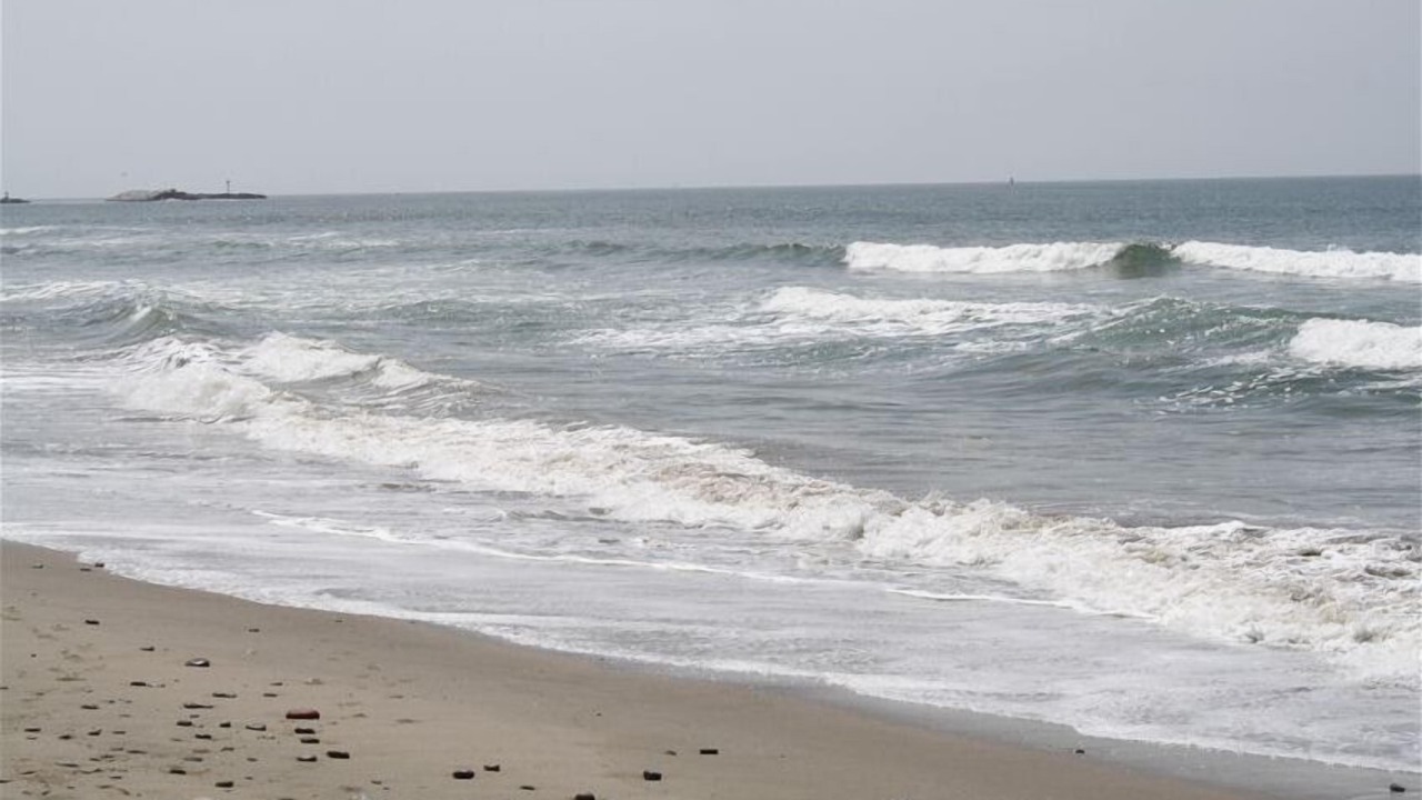 Photo of Others in Pierpont Bay
