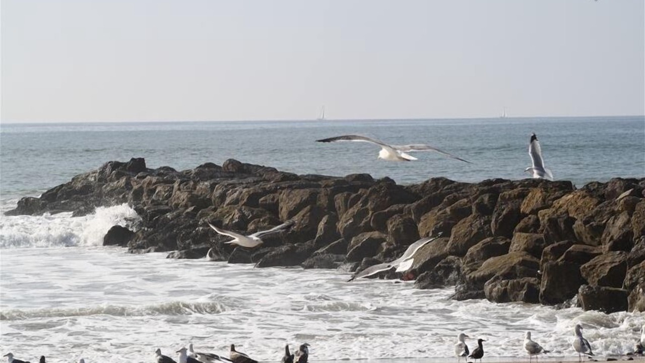 Photo of Others in Pierpont Bay