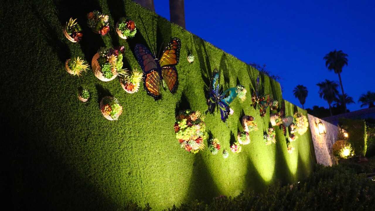 Photo of Outdoor in Cathedral City