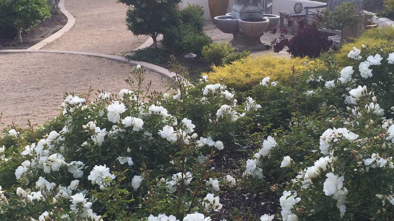 Photo of Outdoor in Rancho Rio Vista