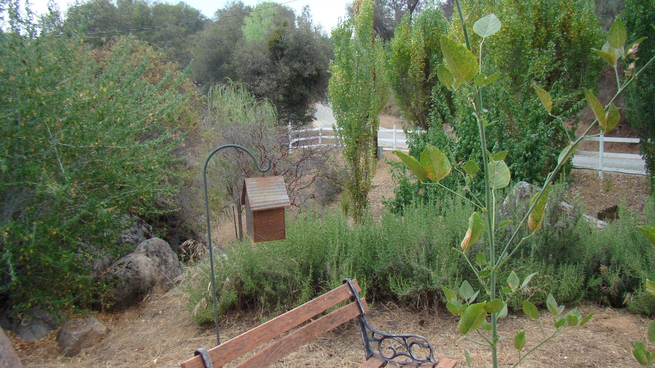 Photo of Outdoor in Mariposa