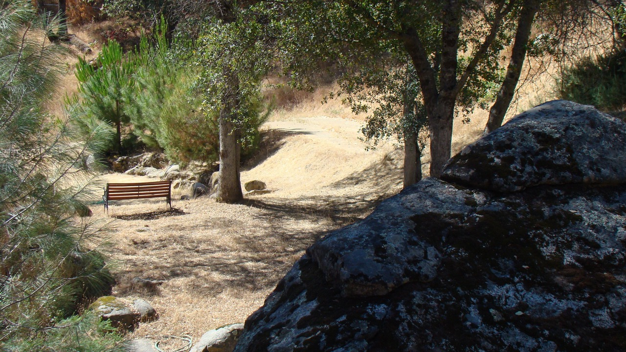 Photo of Outdoor in Mariposa