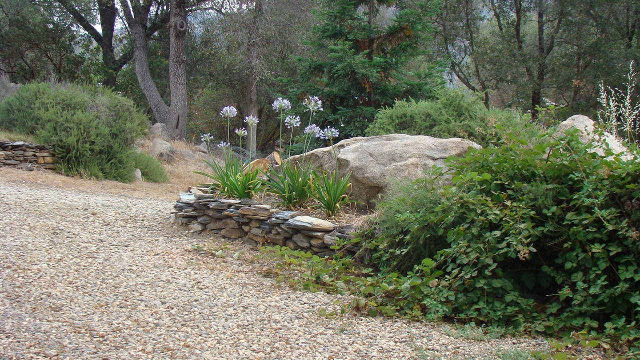 Photo of Outdoor in Mariposa