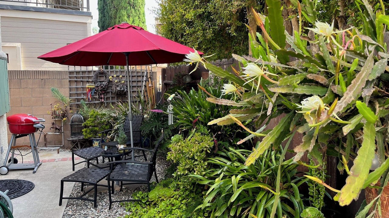 Photo of Patio Balcony in Belmont Heights