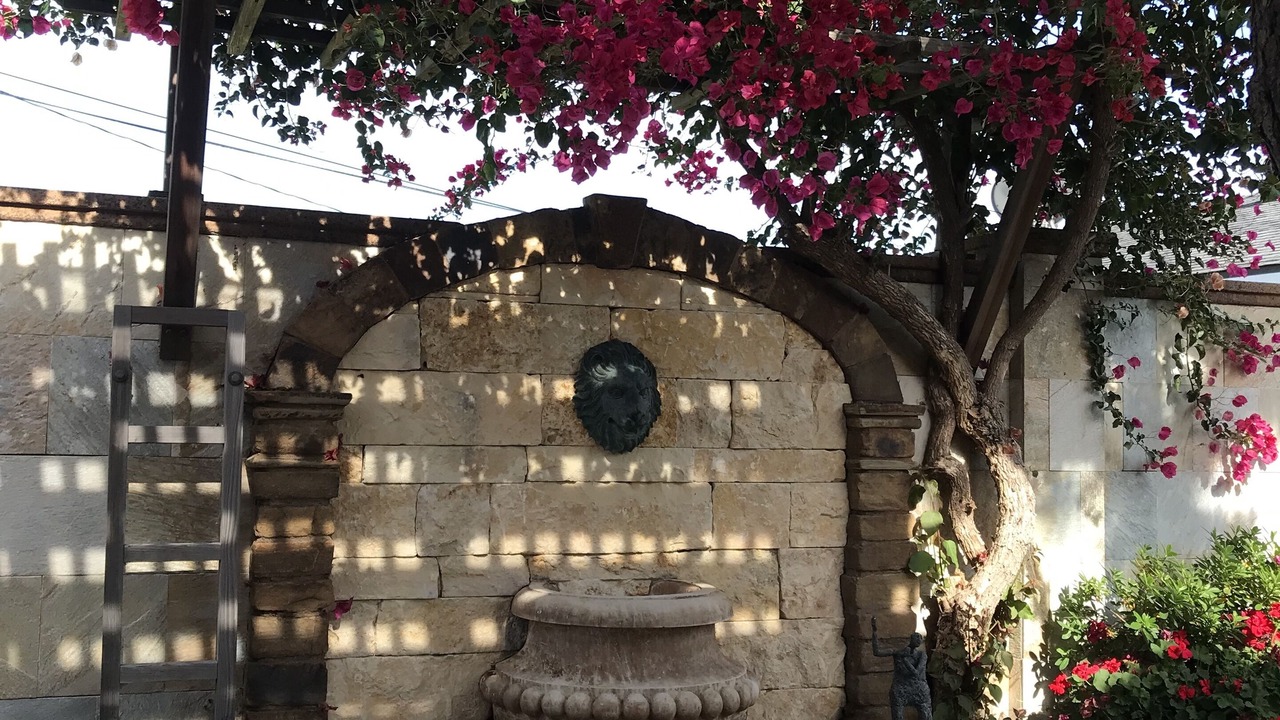Photo of Outdoor in Riverview West
