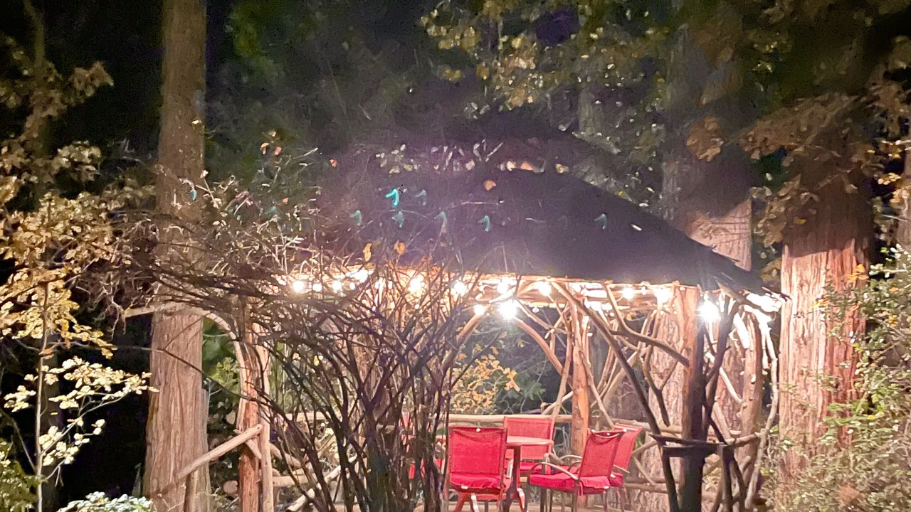 Photo of Outdoor in Idyllwild