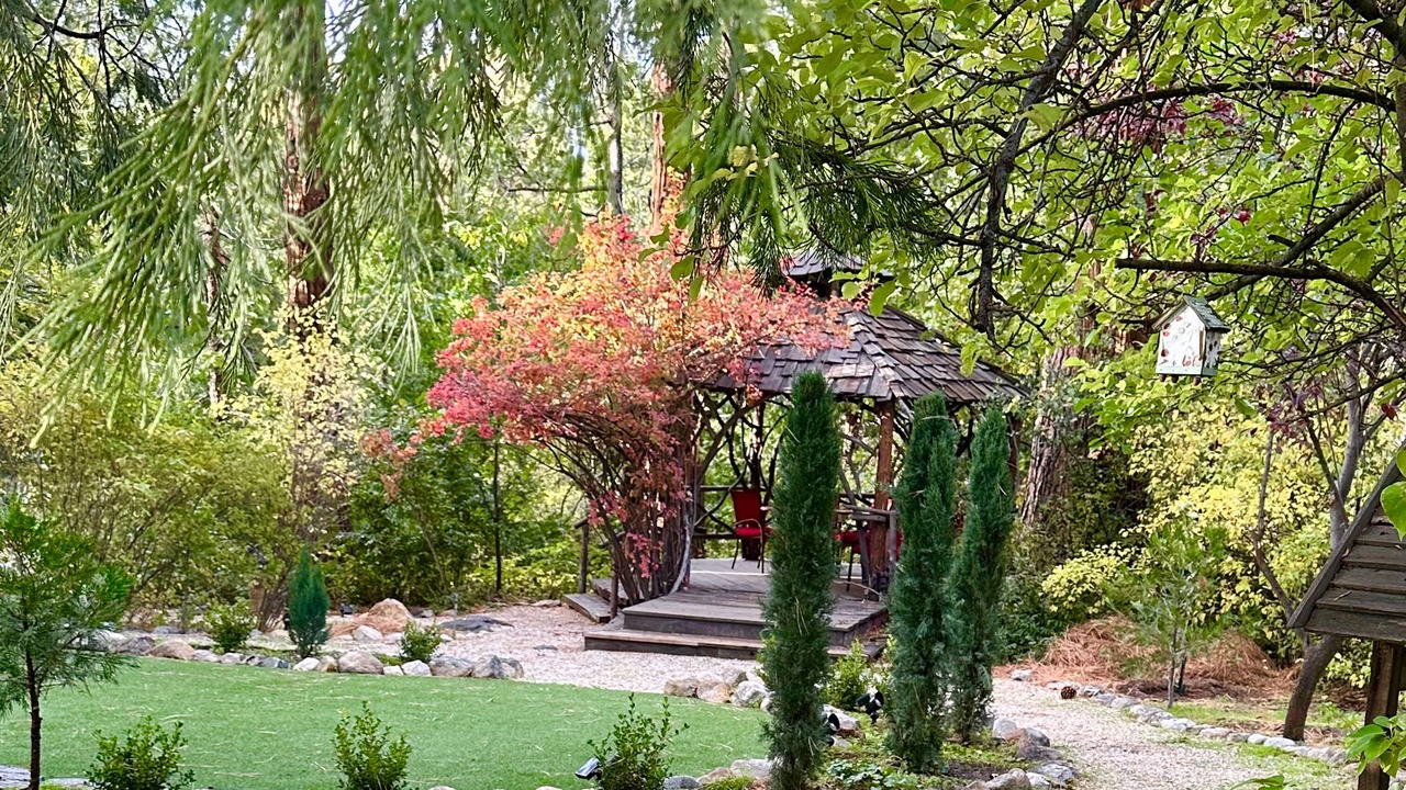Photo of Outdoor in Idyllwild