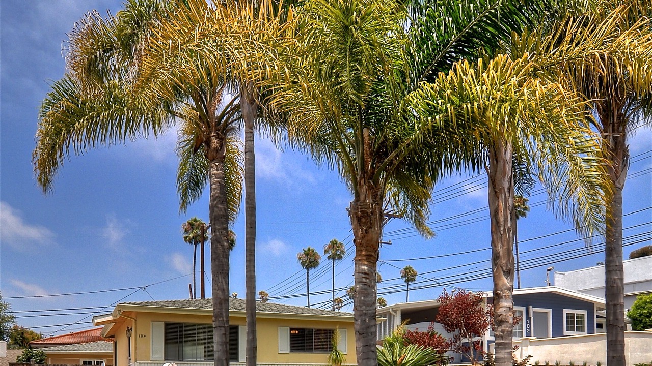 Photo of Others in San Clemente