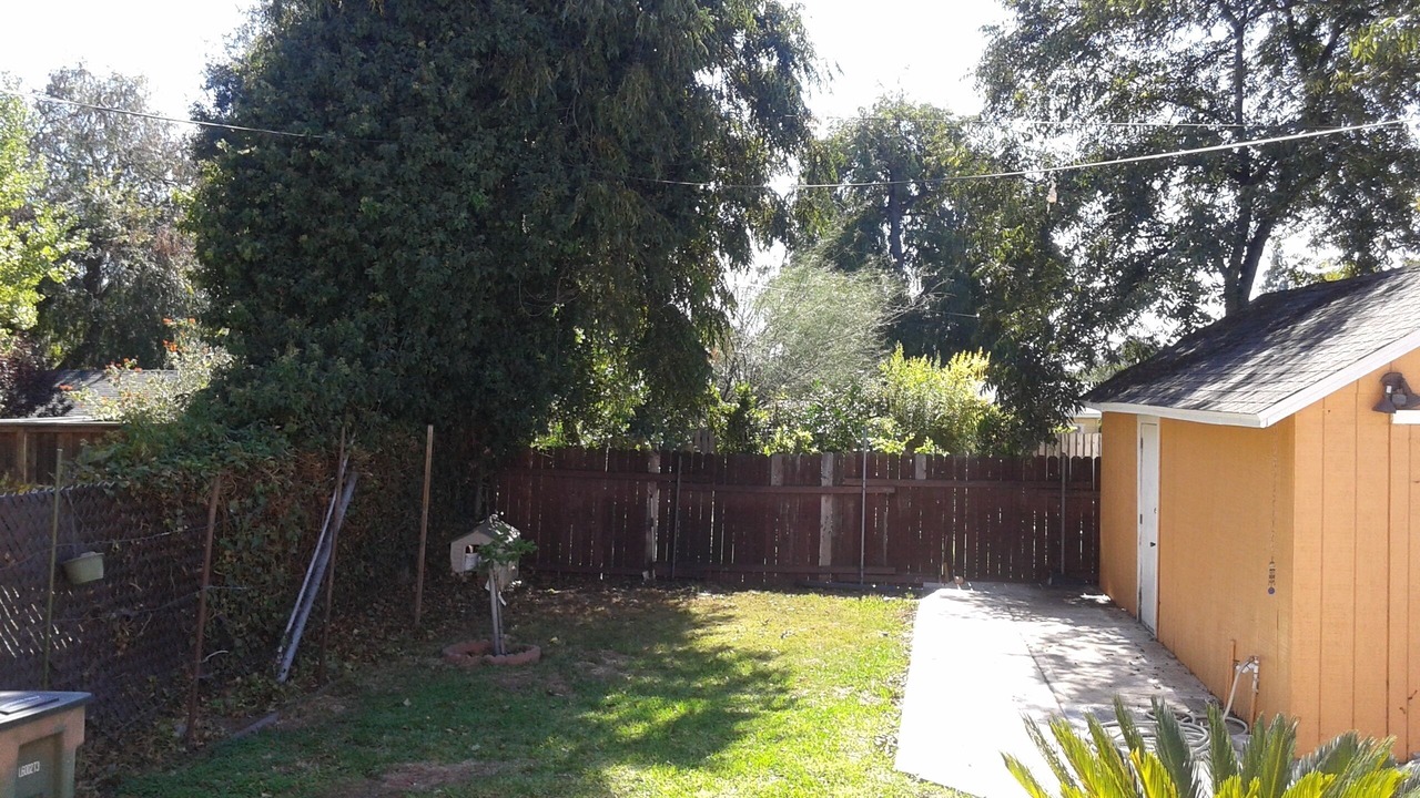 Photo of Outdoor in Bungalow Heaven