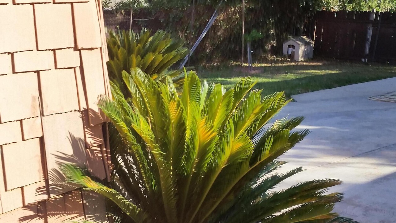 Photo of Outdoor in Bungalow Heaven