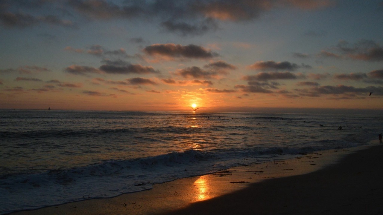 Photo of Others in Del Mar