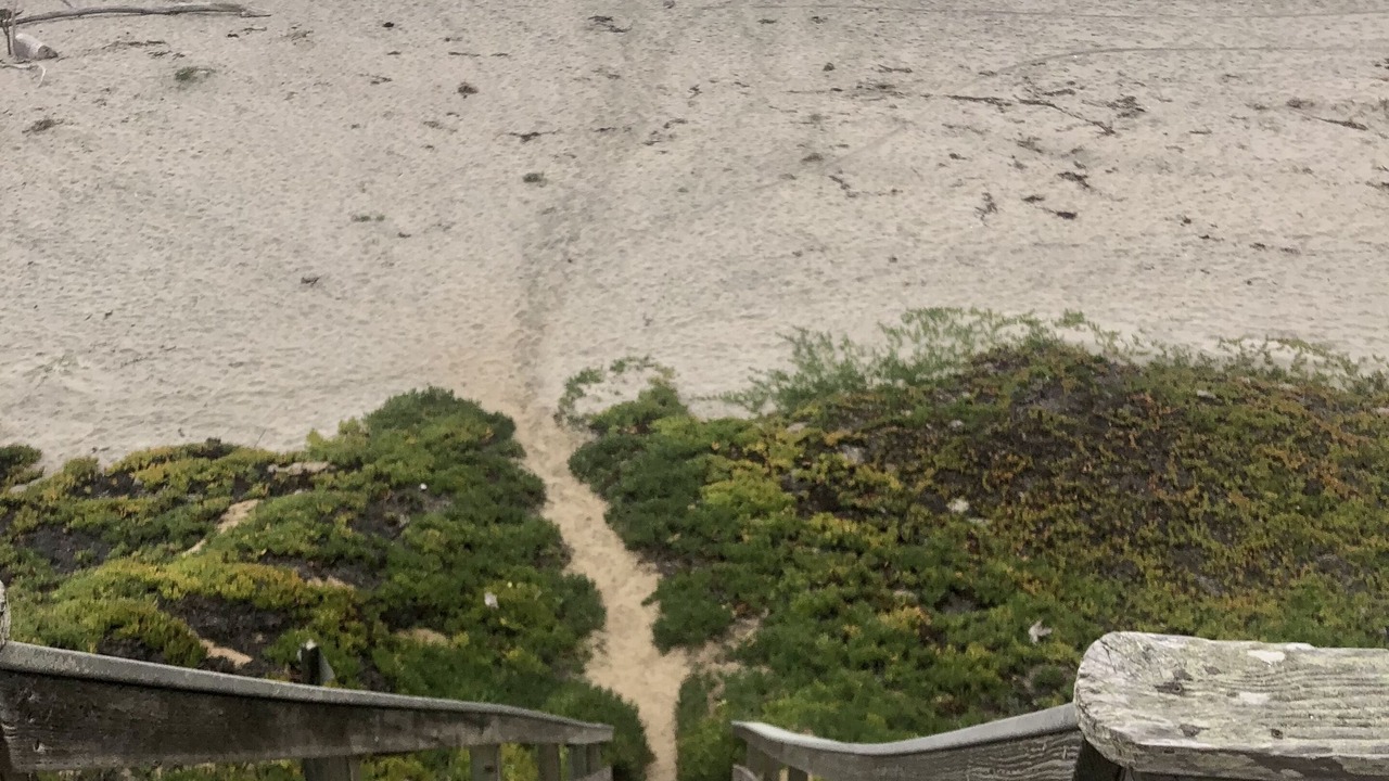 Photo of Others in La Selva Beach