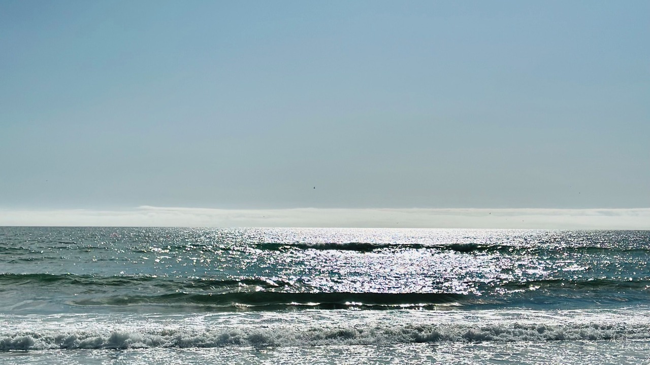 Photo of Others in La Selva Beach