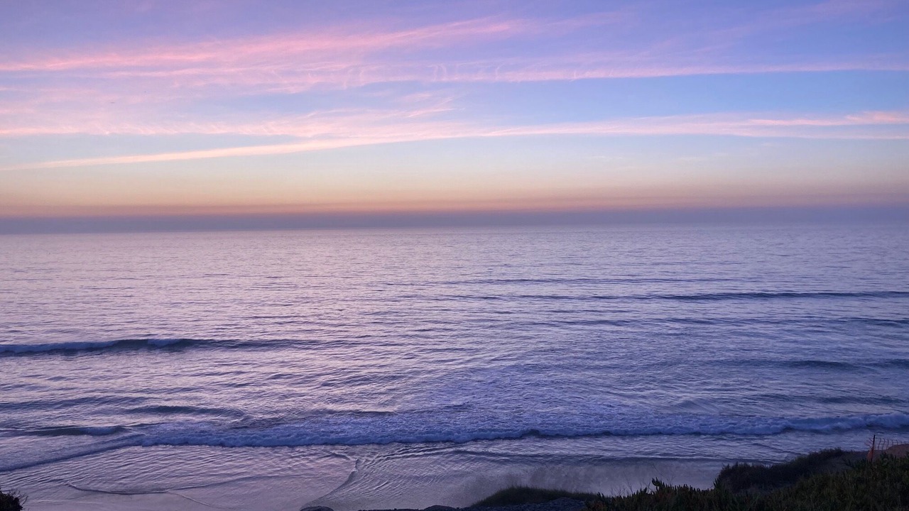 Photo of Others in Solana Beach