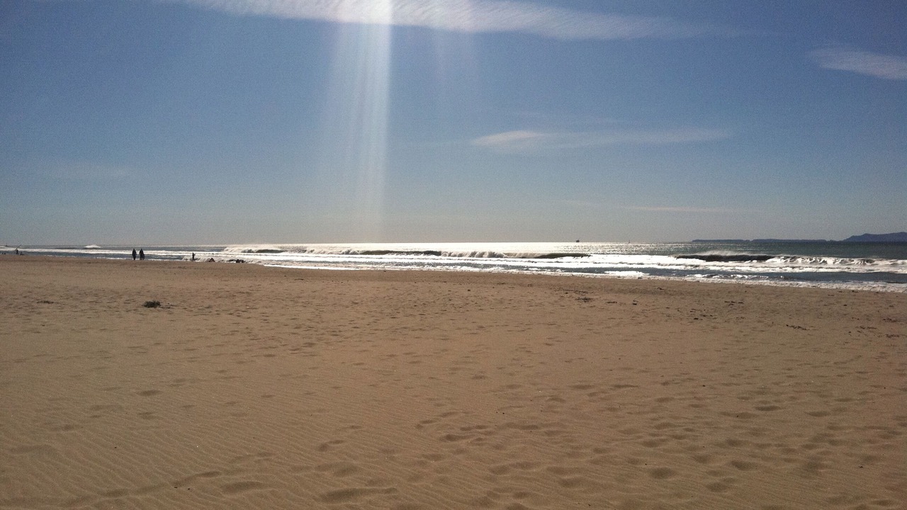 Photo of Others in Oxnard Shores