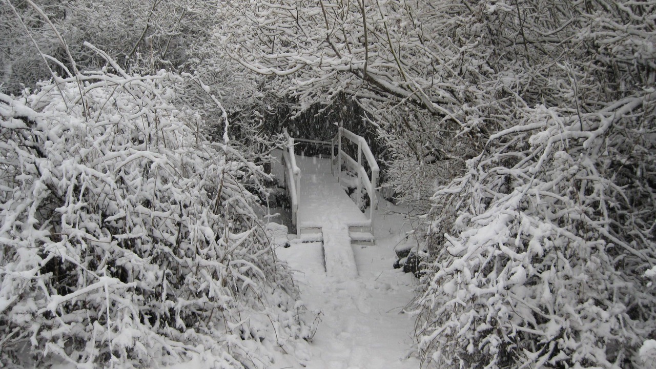 Photo of Others in Pine Mountain Club