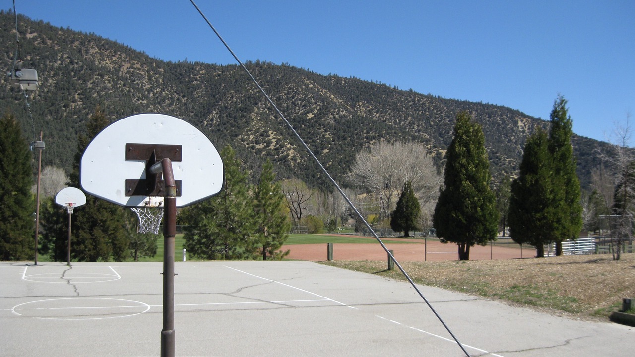 Photo of Others in Pine Mountain Club