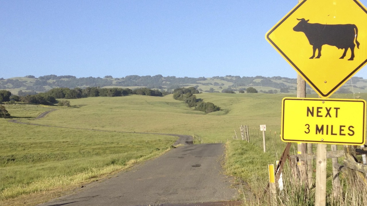 Photo of Others in Petaluma