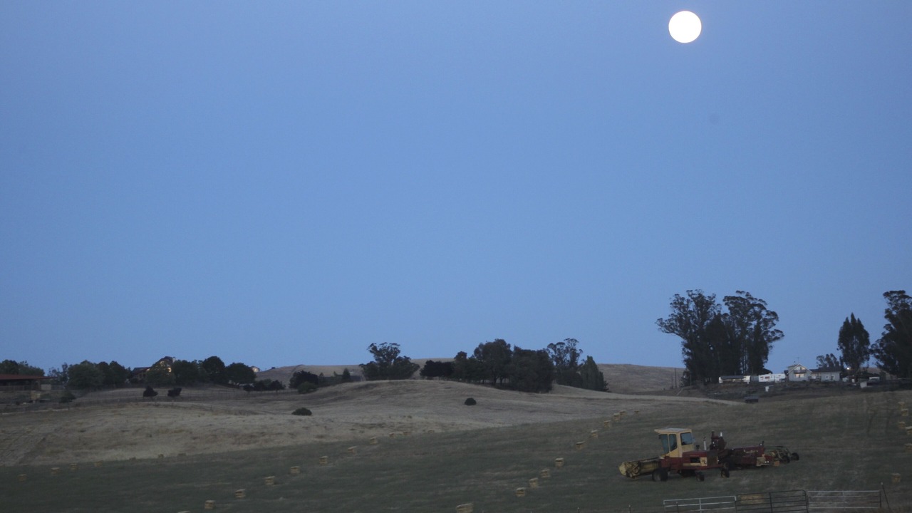 Photo of Others in Petaluma