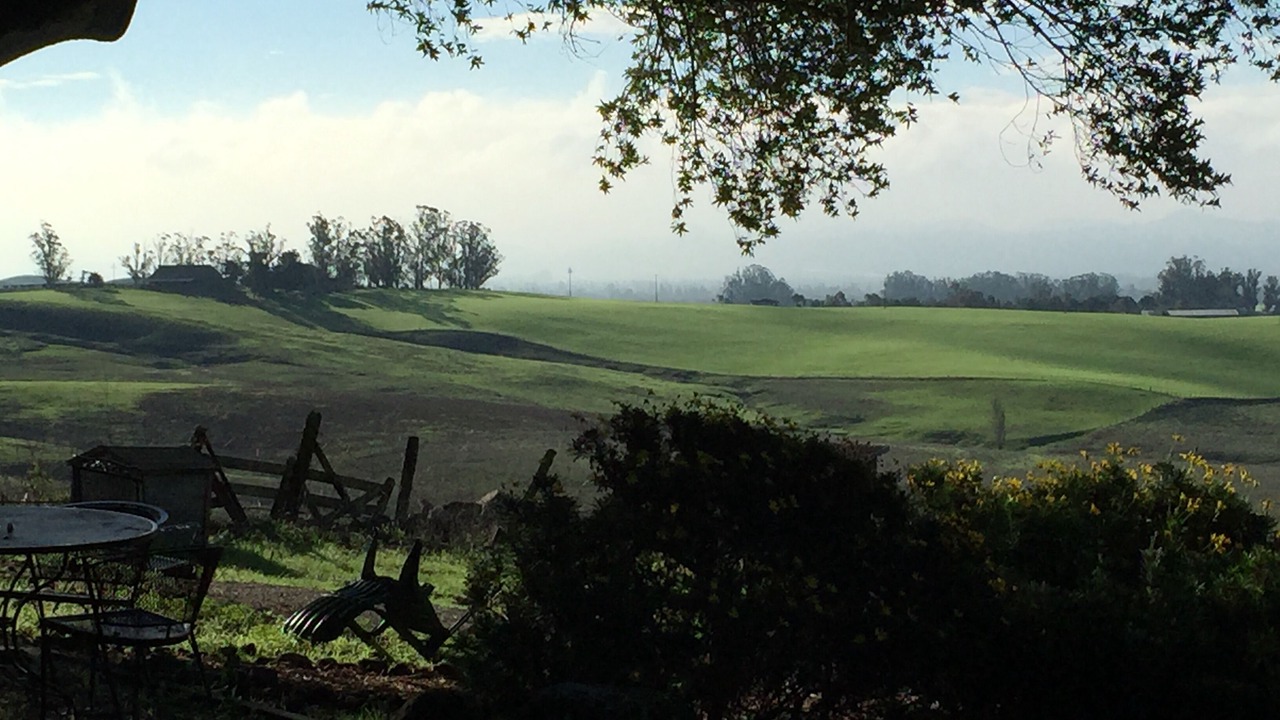 Photo of Others in Petaluma