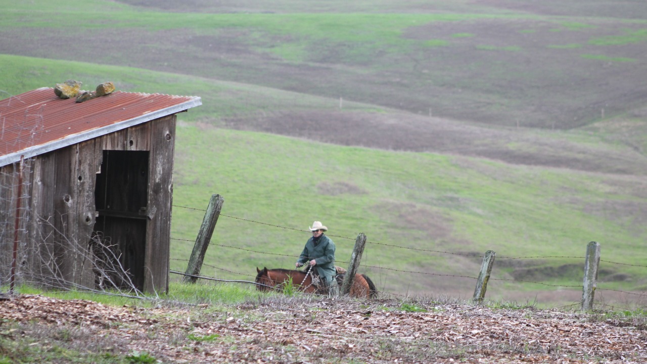 Photo of Outdoor in Petaluma