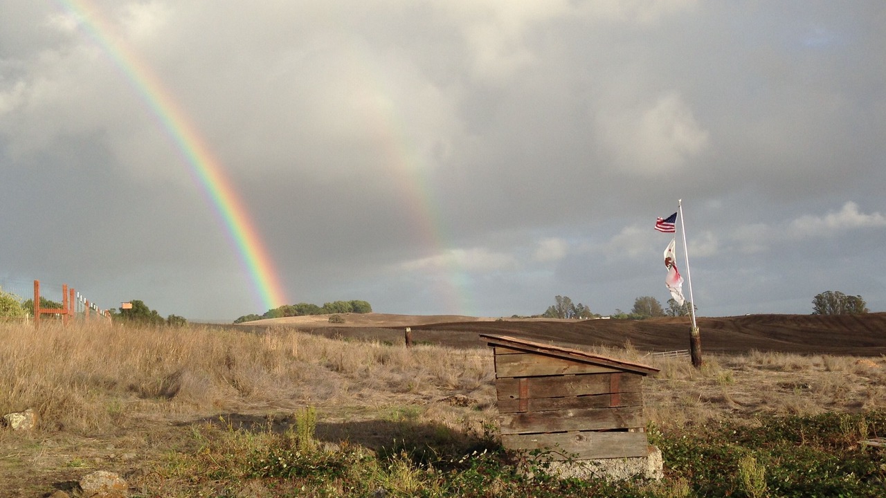 Photo of Others in Petaluma