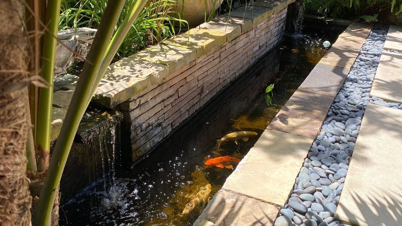 Photo of Outdoor in Solana Beach