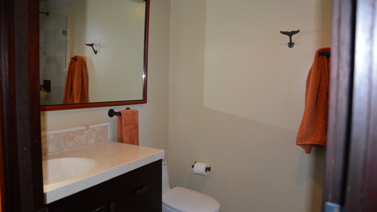 Photo of Bathroom in Solana Beach