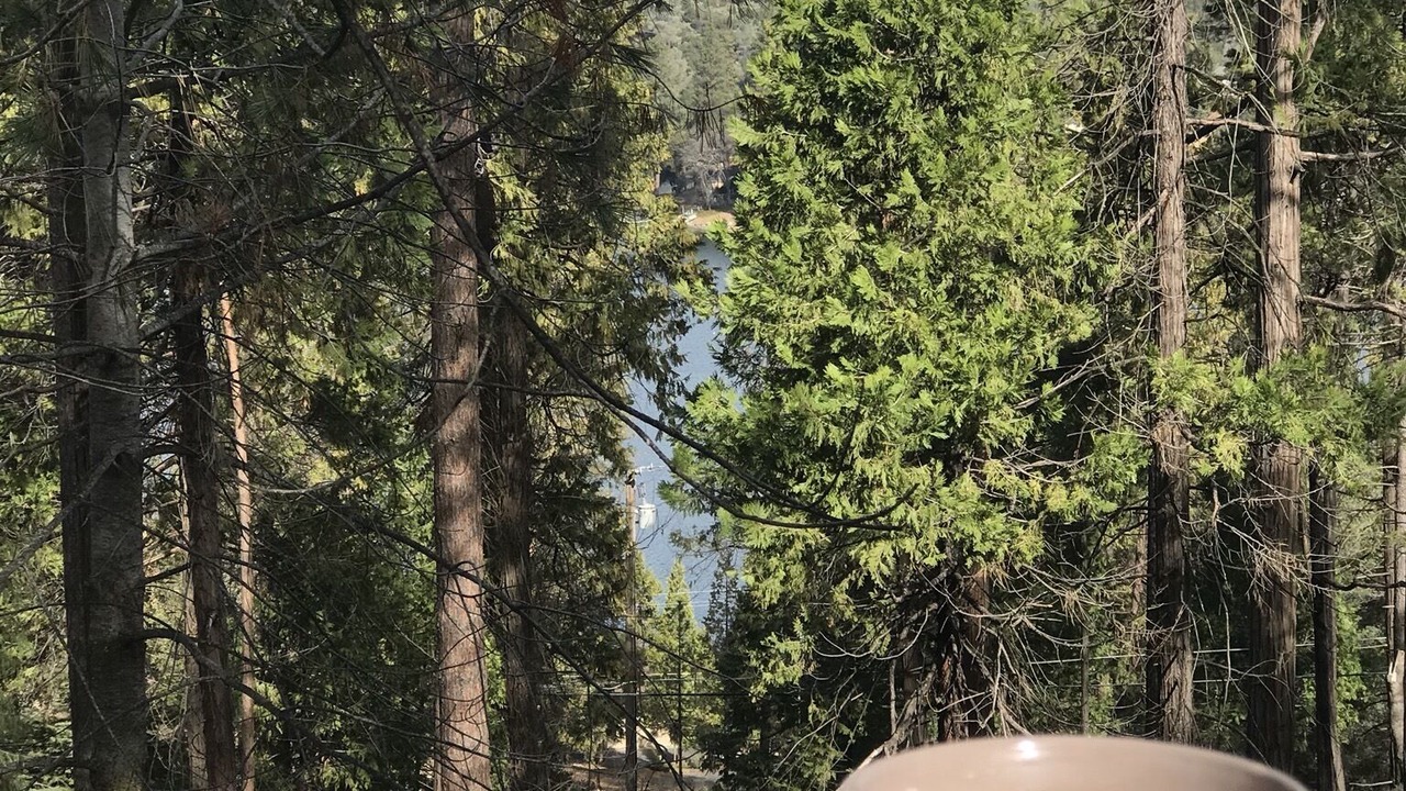 Photo of Others in Groveland