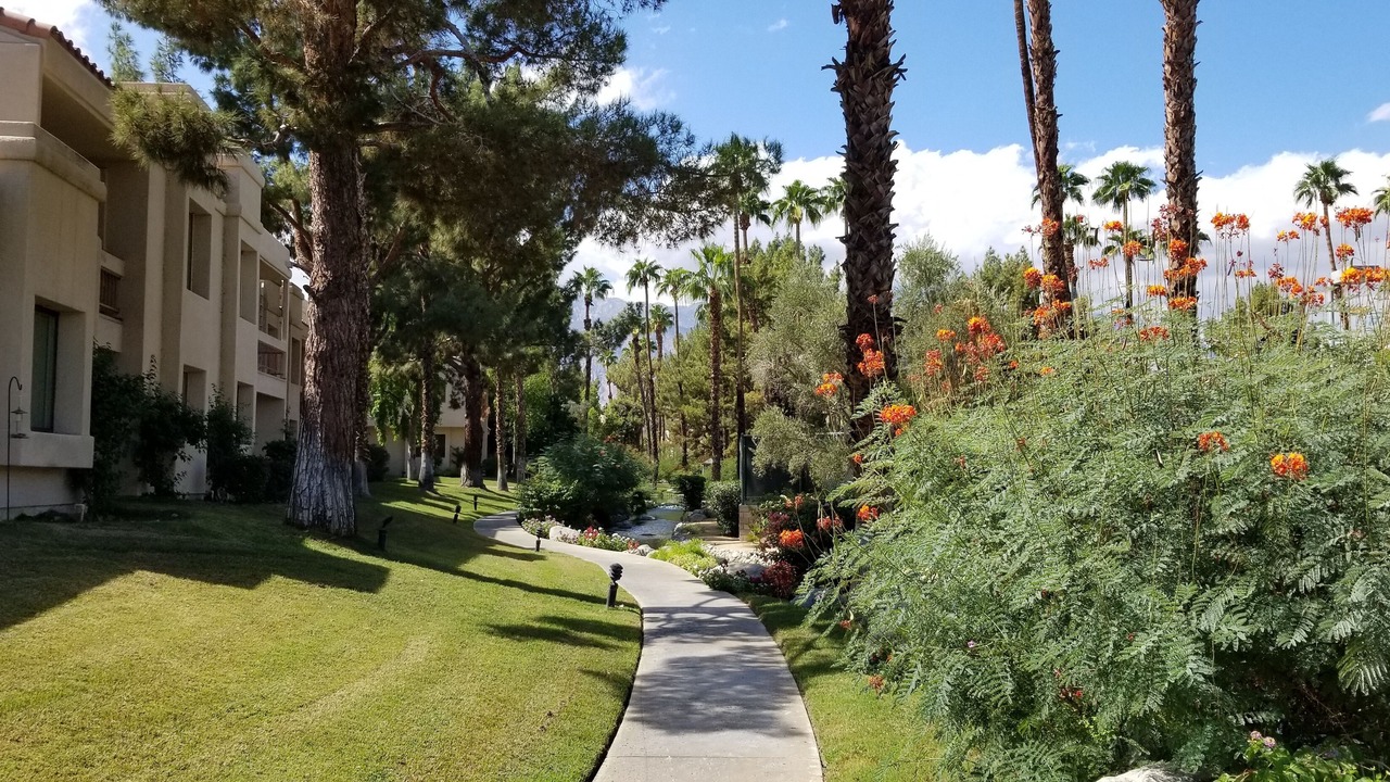 Photo of Outdoor in Cathedral City