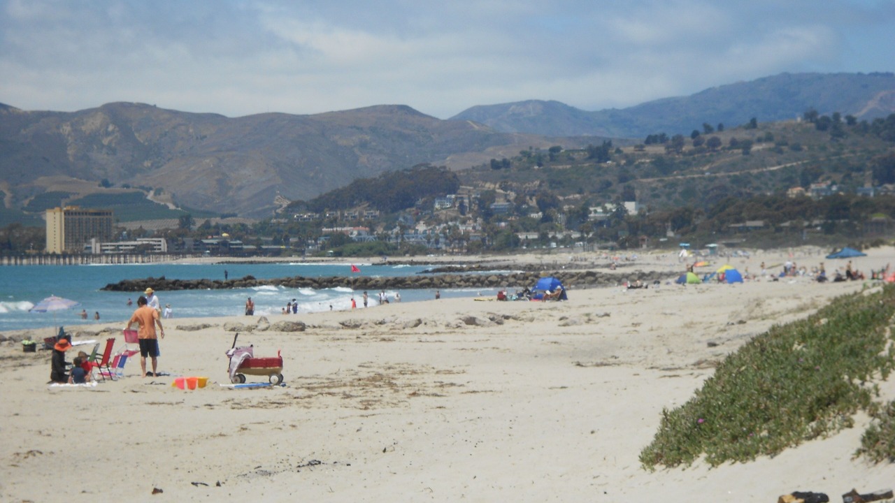 Photo of Others in Pierpont Bay