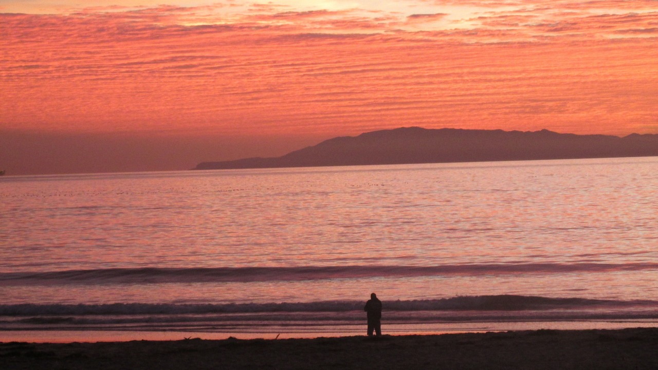 Photo of Others in Pierpont Bay