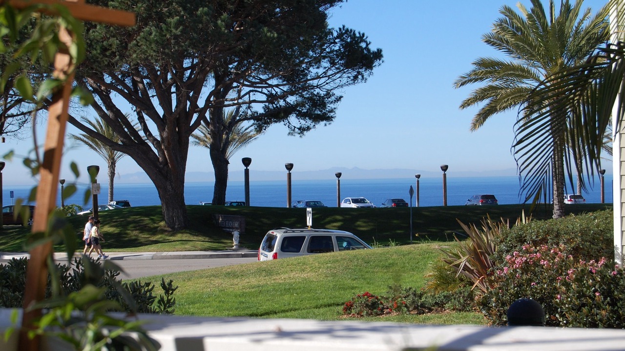 Photo of Others in Dana Point