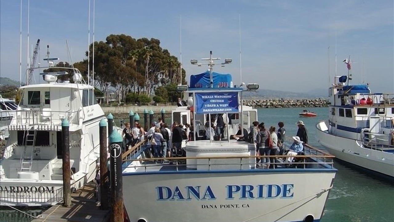 Photo of Others in Dana Point