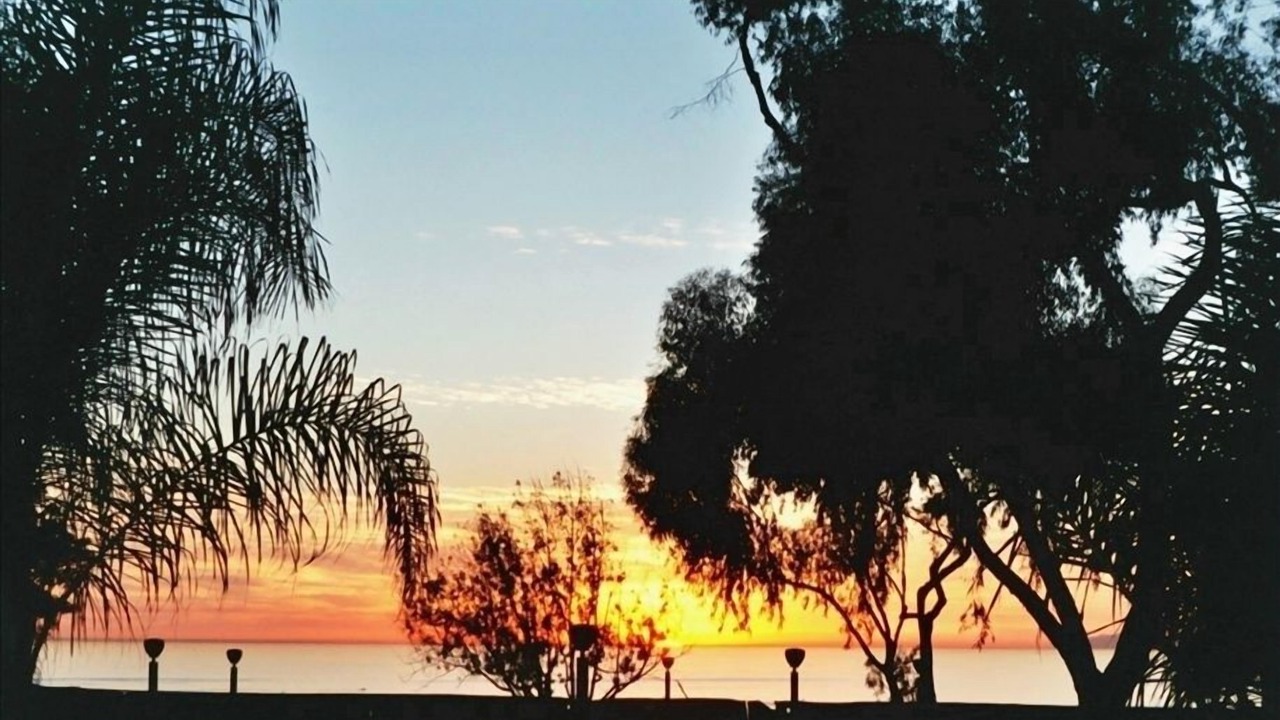 Photo of Others in Dana Point