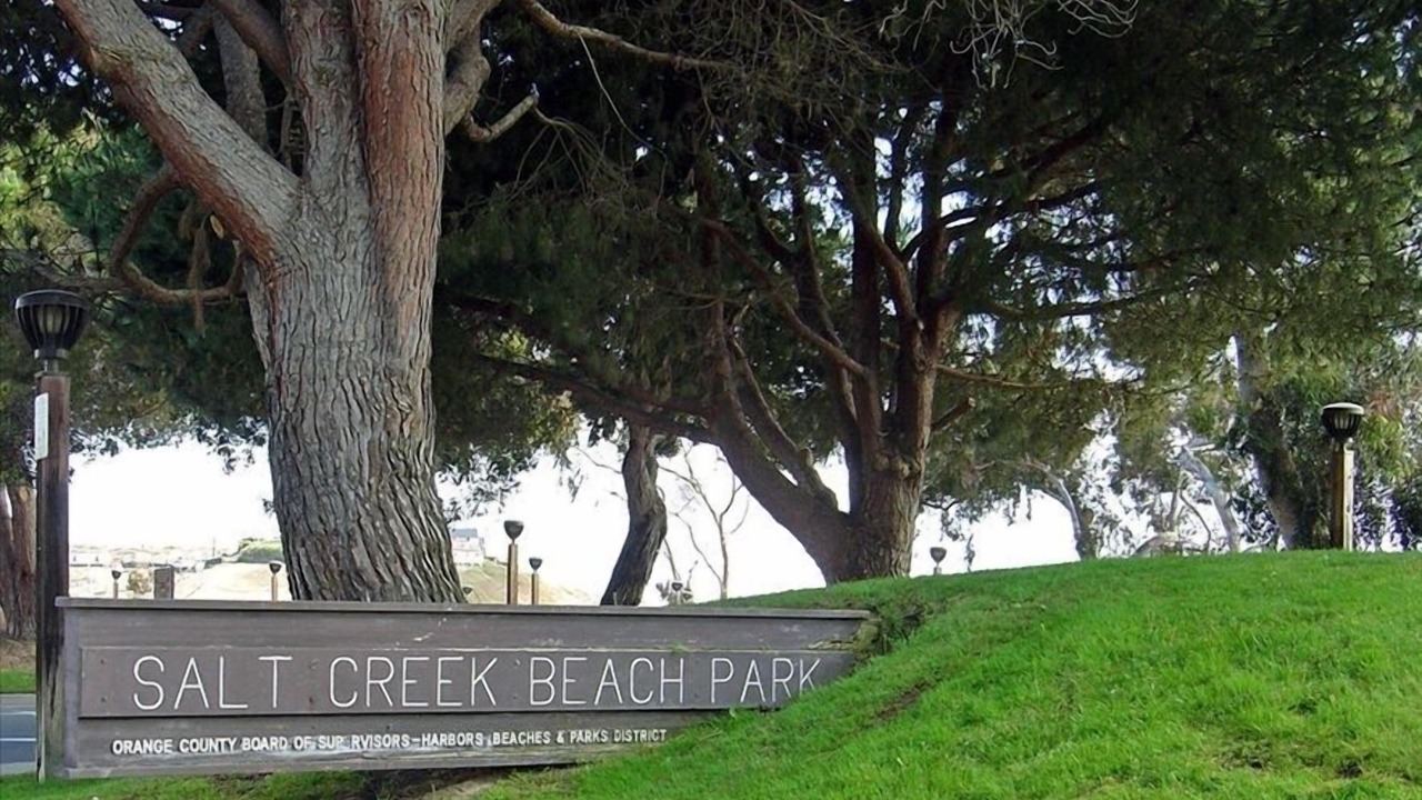 Photo of Others in Dana Point