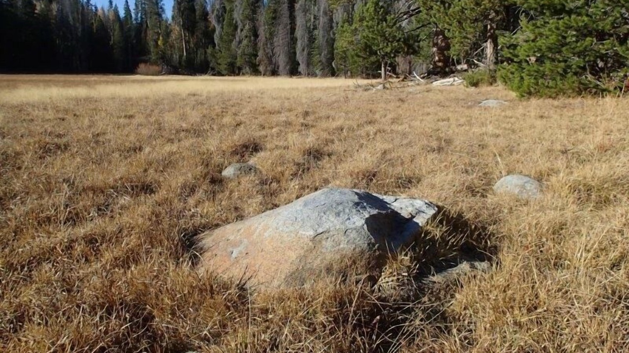 Photo of Others in Ponderosa
