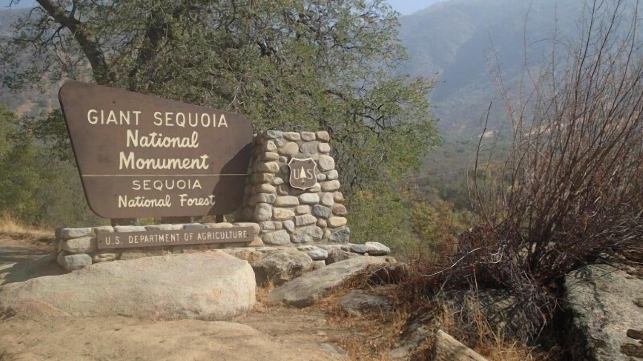 Photo of Others in Ponderosa