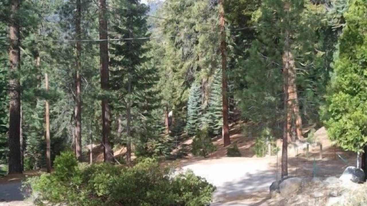 Photo of Bedroom in Ponderosa