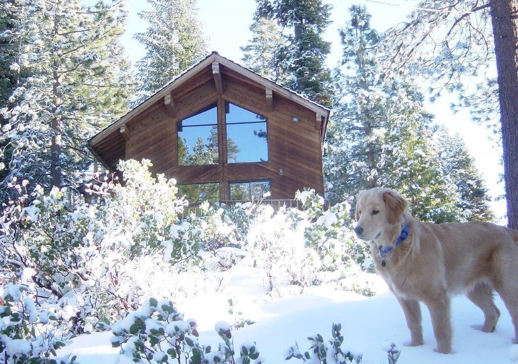 Photo of Others in Ponderosa