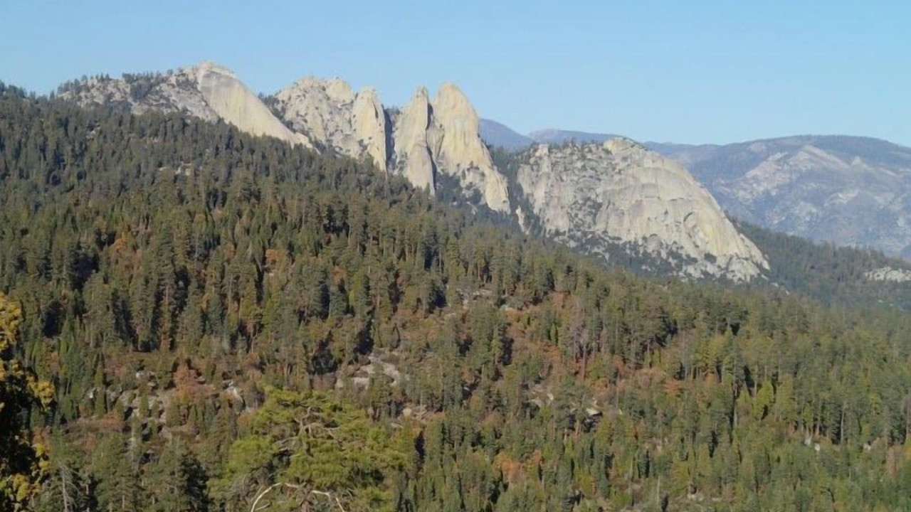 Photo of Others in Ponderosa