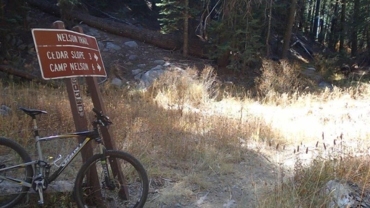 Photo of Others in Ponderosa