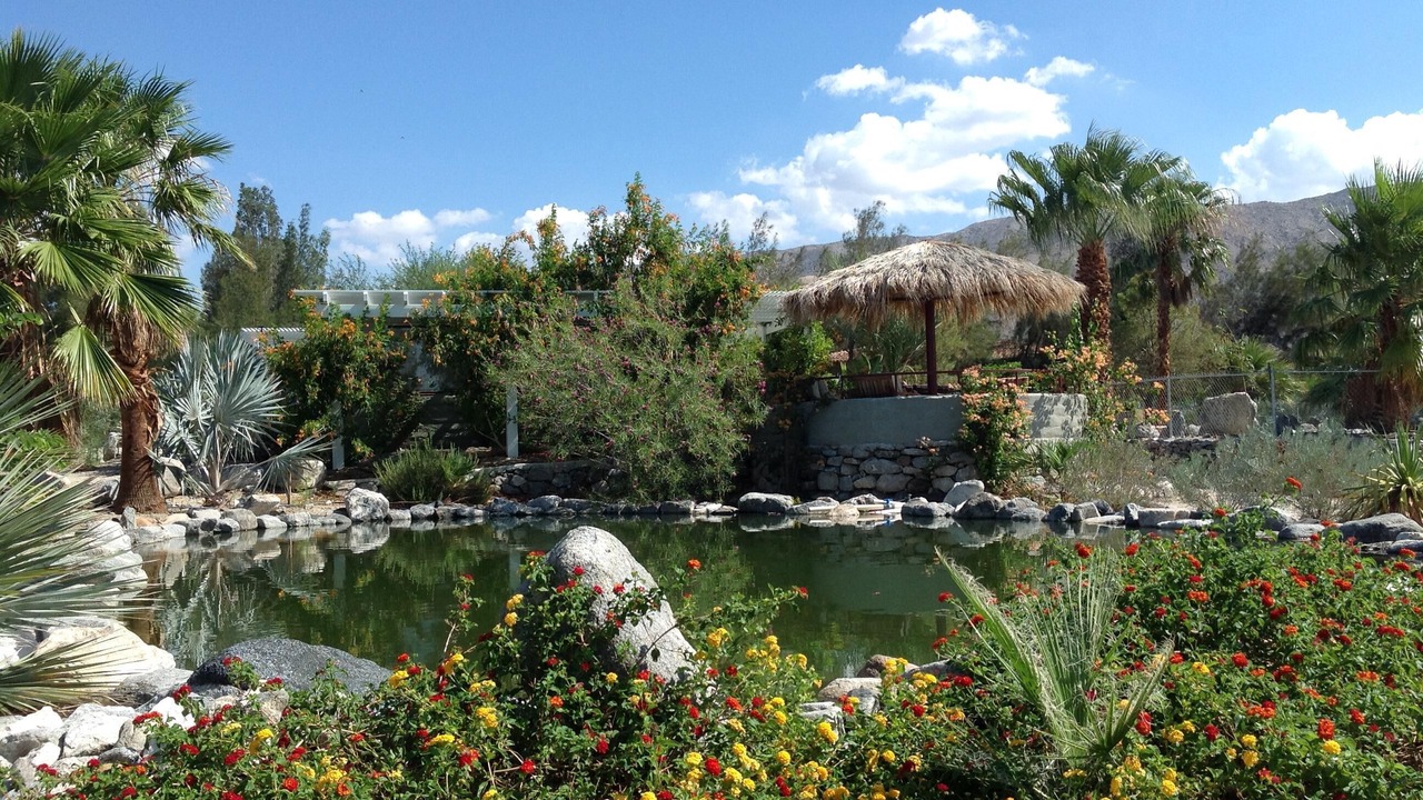 Photo of Others in Desert Hot Springs