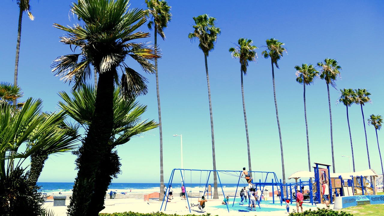 Photo of Others in La Jolla Shores