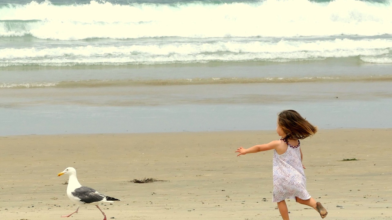 Photo of Others in La Jolla Shores