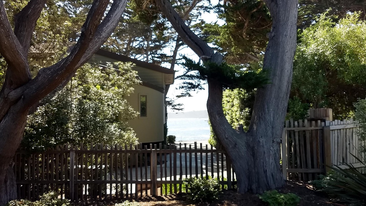 Photo of Others in Carmel Point